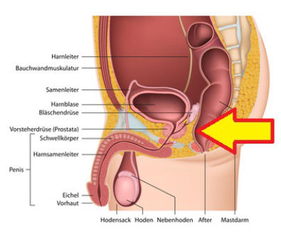 Orgasmus durch Prostata Stimulation